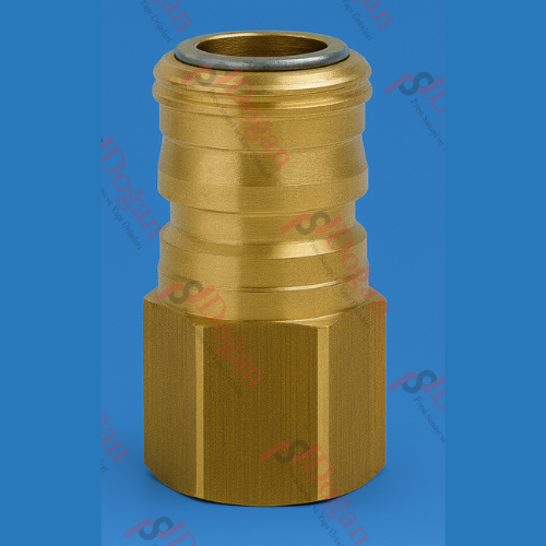 Sarı Dişi Otomatik Rakor